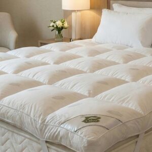 4e21224d 8619 43e9 8826 d39e9f91558f (1)